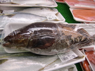 CIMG2524.JPG